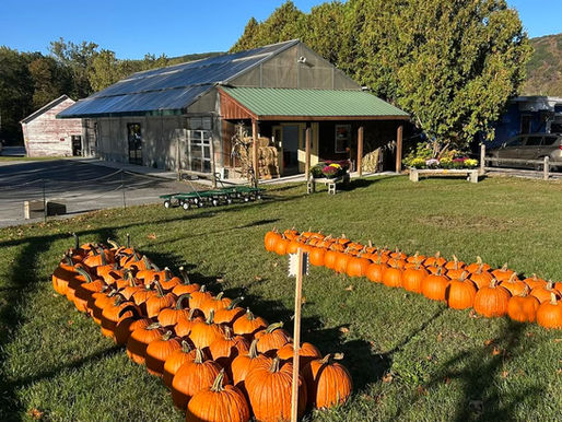 La espera terminó: McKay’s Family Farm abre en Williamstown