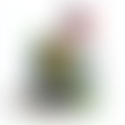 Los condados con una gran presencia de latinos enfrentan una mayor desaceleración del crecimiento poblacional.