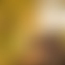 Trenes, camiones y cambios: el plan de GE que marcará el futuro del río Housatonic en los Berkshires