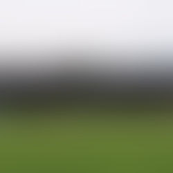 Último adiós a las gradas Wahconah Park