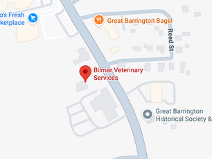 Investigación revela falla en baterías del cruce peatonal donde murió residente de Great Barrington