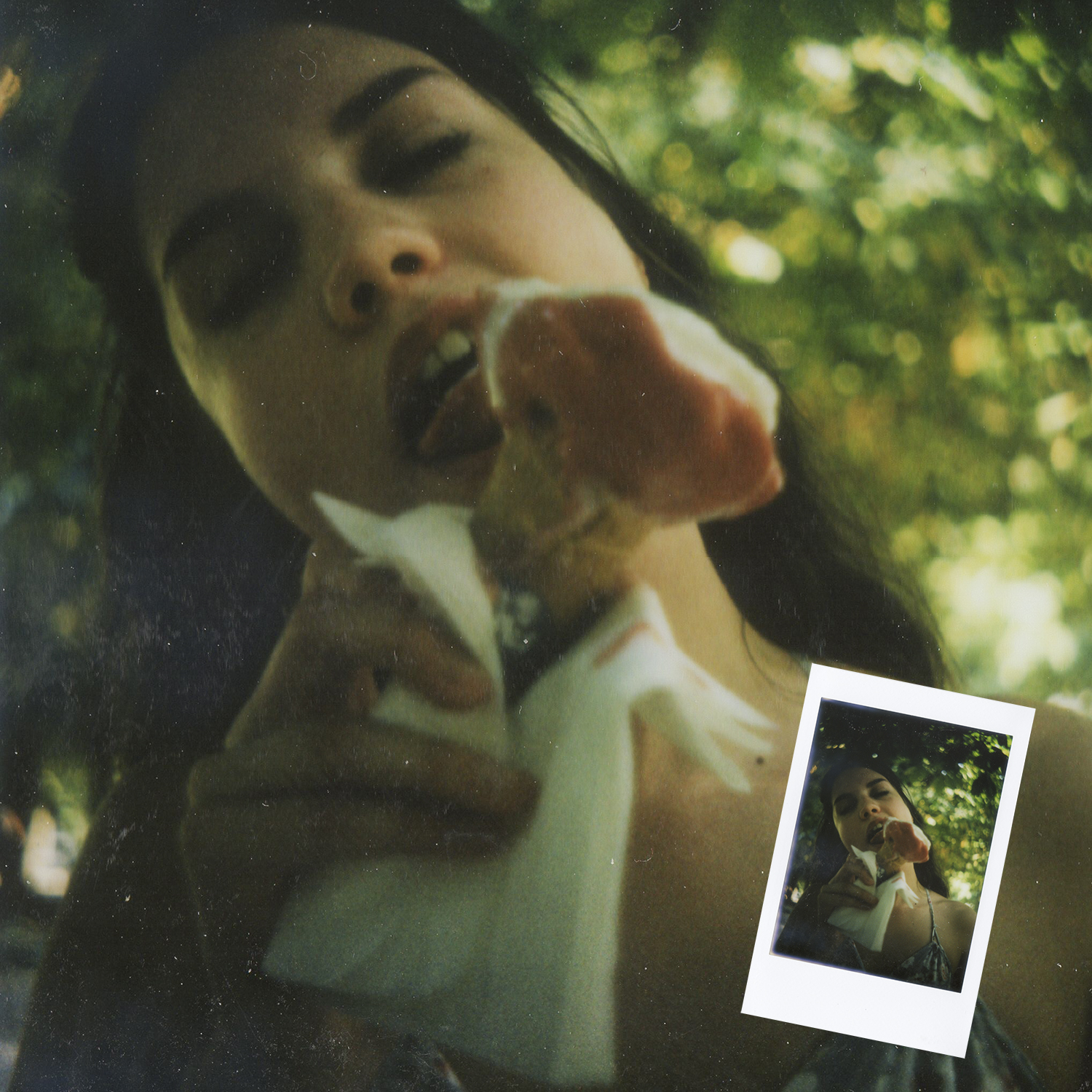 instax115-insta