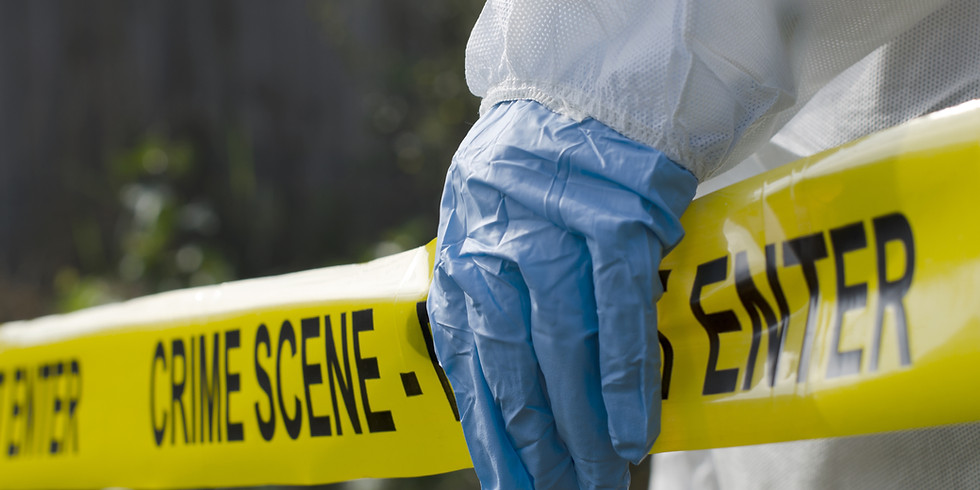 CSI detective project