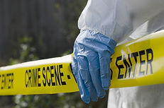 Crime Scene bande