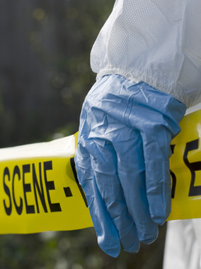 on kens & karens: why domestic terrorists must be named as such