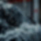 carwash with soap and bubbles.jpg