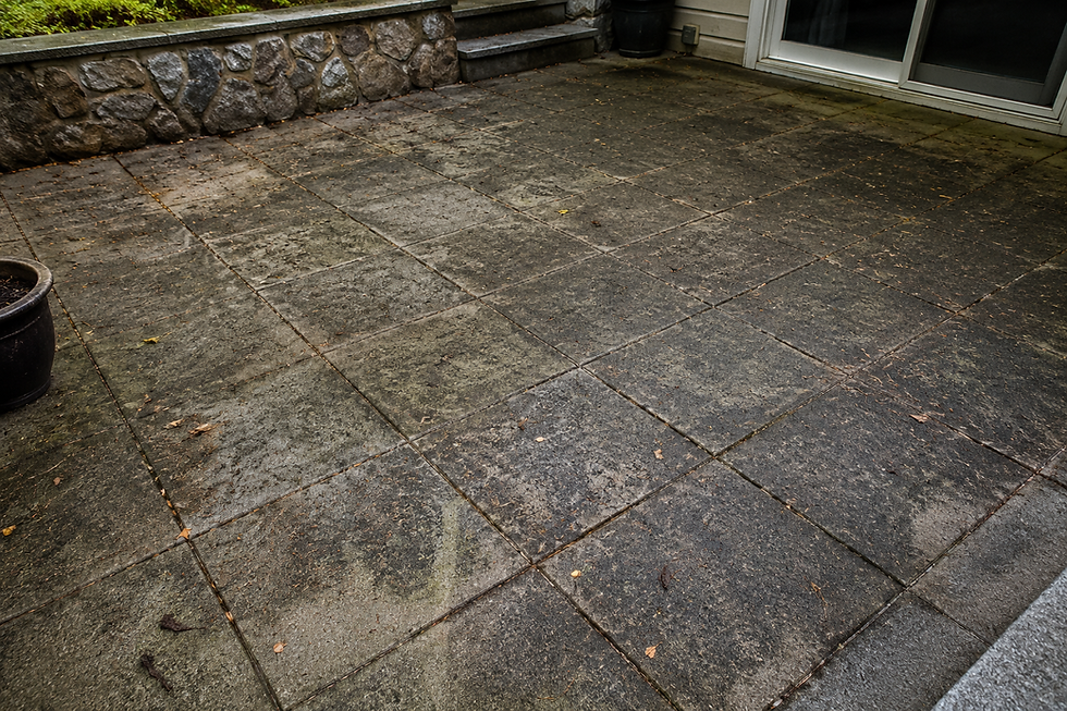 Dirty stone patio with algae and organic buildup before cleaning
