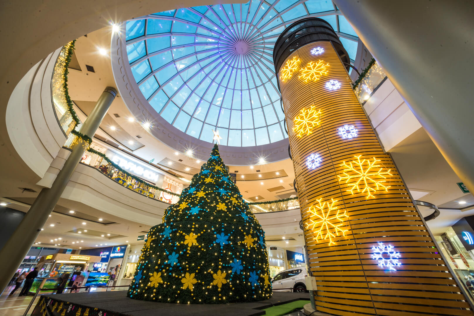 ILUMINAÇÃO DECORATIVA