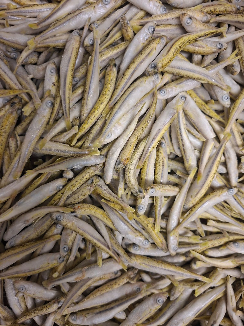 Miniaturbild: Gefrorene Stinte (Fisch) 2,5 Kg