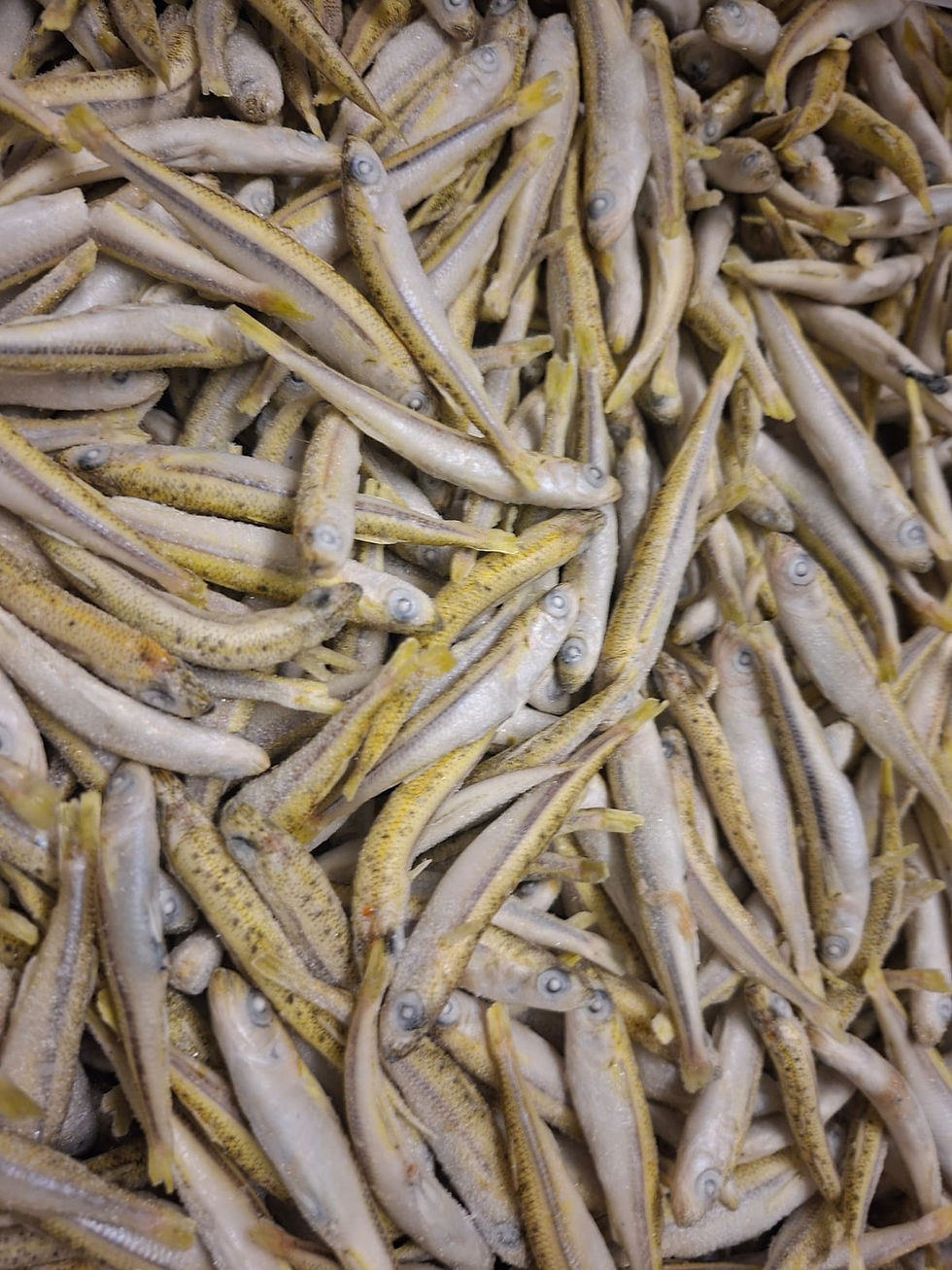 Miniaturbild: Gefrorene Stinte (Fisch) 1Kg