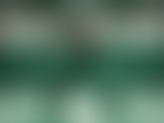 The Impact of Martial Arts Training on New York Jets Players Performance