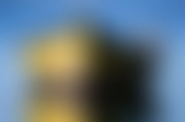 Nueva página dedicada a la Fotografía de Naturaleza