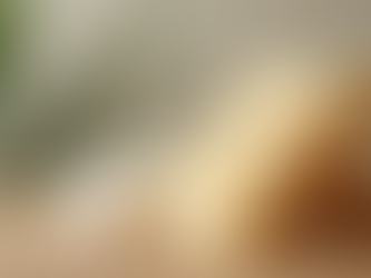 Choosing the Best Sustainable Haircare Tips for a Greener Routine