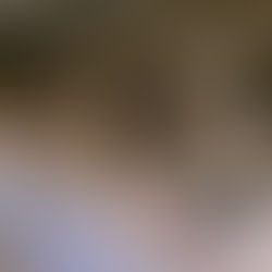 Kommende Ausstellungen 2026