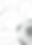 Copy of SG.png