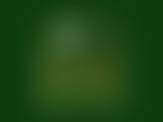 Premio Botteghe Storiche 2026: candidati con APA Confartigianato Imprese fino al 15 aprile