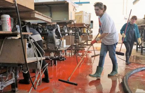 Polizze catastrofali: prorogata la scadenza per le PMI