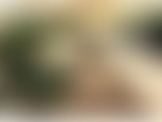 A Monza i laboratori in cascina