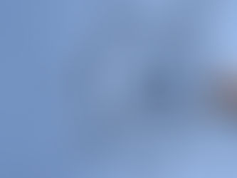 TITOLARE EFFETTIVO - Aggiornamenti dopo la pronuncia del TAR del Lazio 