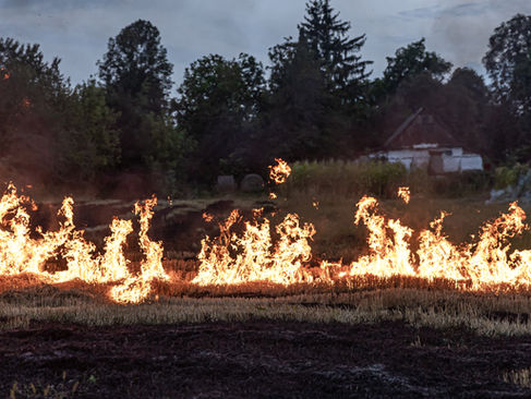 Decreto Legge “Terra dei fuochi”: nuove disposizioni su rifiuti, ambiente e sicurezza