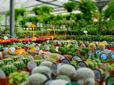 Collaborazione per allestimento mostra presso Regione Lombardia  "Donne di scienza, donne di fiori"