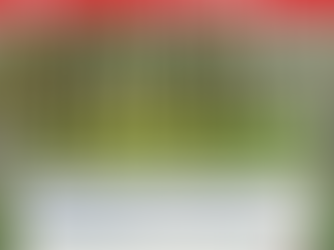 ASEAN for Business Bulletin - Unlocking Green Investment: ASEAN’s Forestry Sector and Nature-Based Solutions (NbS)