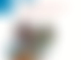 2016 Canada-ASEAN Business Outlook Survey