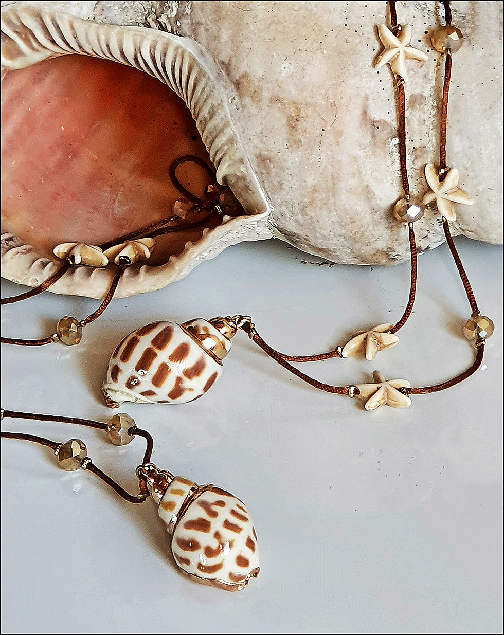 Miniaturbild: Seestern & Strandfund
