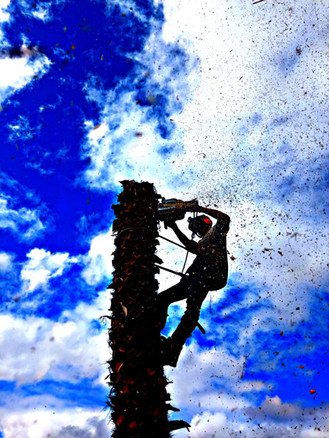 Andre Climbing 3