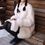 Thumbnail: Ivory 100% wool inner lambskin suede lined fluffy jacket with scarf set