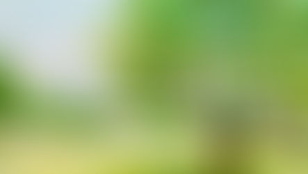 《浅美》校外授業　写生会