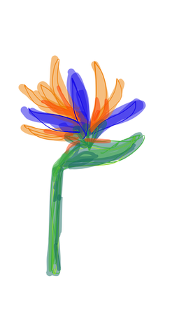 decorative bird of paradise flower