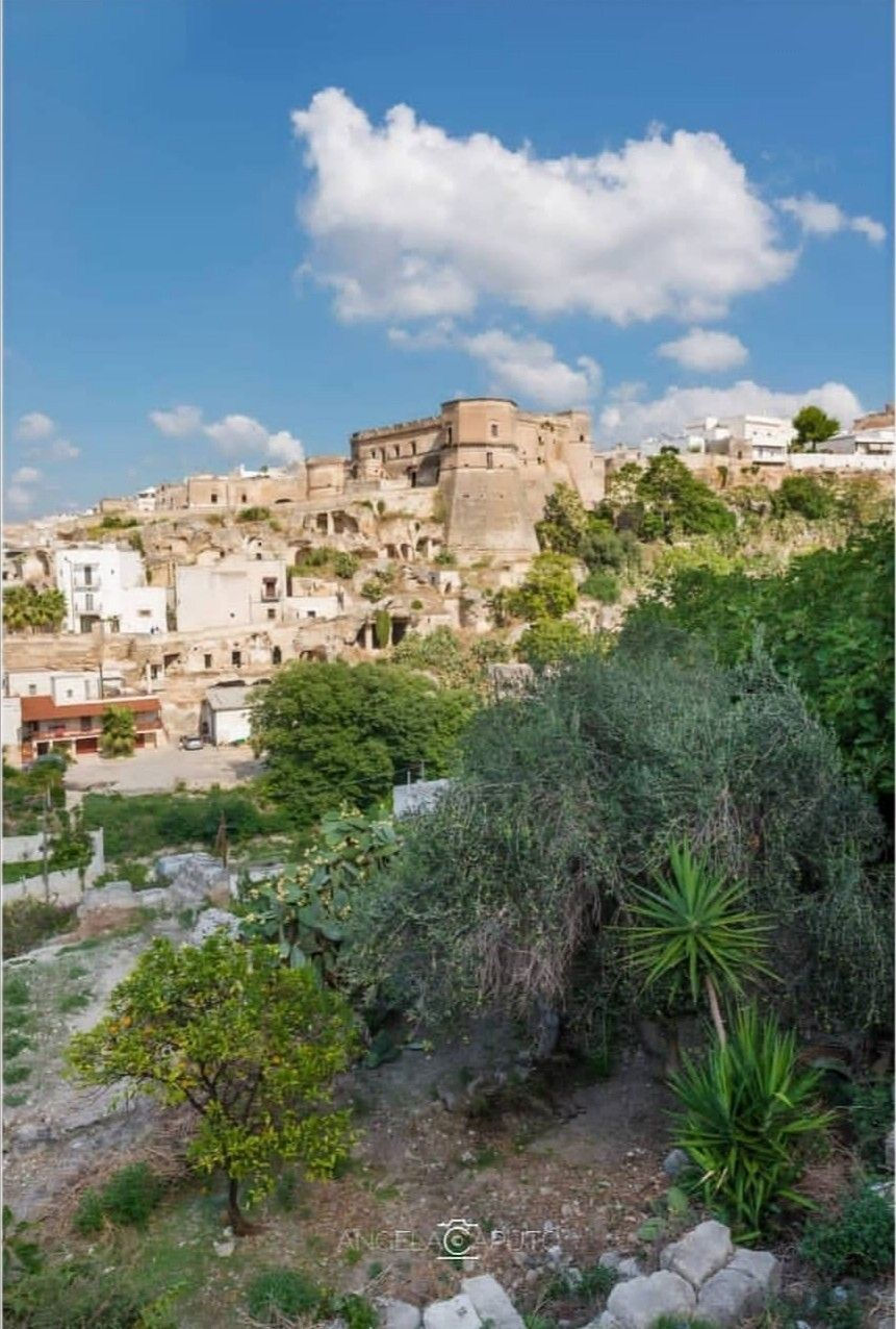 Immagine WhatsApp 2025-07-10 ore 17.26.52_c8a362ca