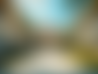 Experience the Joy of Giving Back:     Volunteer at the Dream Center in Pensacola