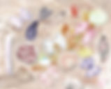 seashells 2.jpeg