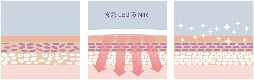 iMask_作用於皮膚示意圖.png