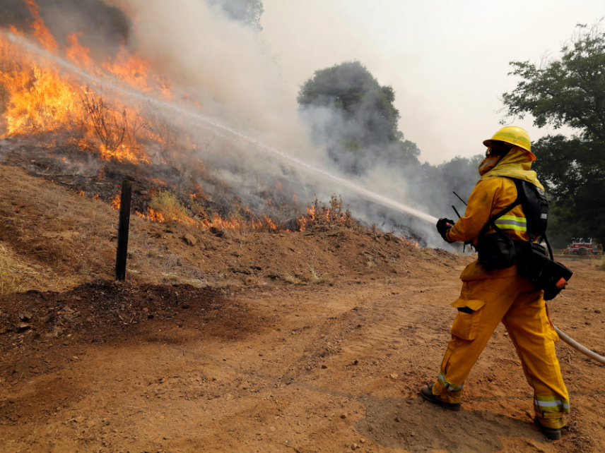 Wildfire-Resistant Landscaping for Custom Homes