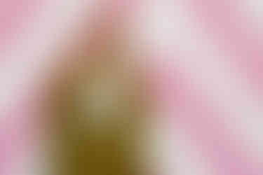 Hattie from Heck Yeah Ceremonies, stood in front of pink striped wall, wearing an olive green suit. Heck Yeah Ceremonies are an LGBTQ+ Inclusive wedding celebrant, part of Rebel Love Directory