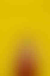 Hattie stands in front of a yellow garage door and smiles away from the camera. She wears a burned orange jumpsuit and has auburn hair. Heck Yeah Ceremonies are an LGBTQ+ Inclusive wedding celebrant, part of Rebel Love Directory