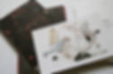 Issue no.13 / Animal