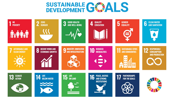 E%2520SDG%2520Poster%25202019_without%25