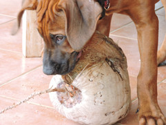 DSCN1896.jpg