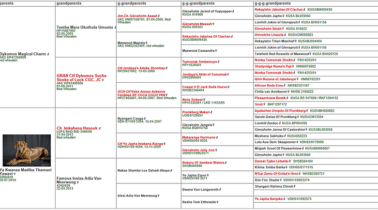 Screenshot 2022-09-07 at 12-28-57 pdf.pdf.png