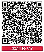 Scan to Pay (PayNow Impact)_edited.jpg