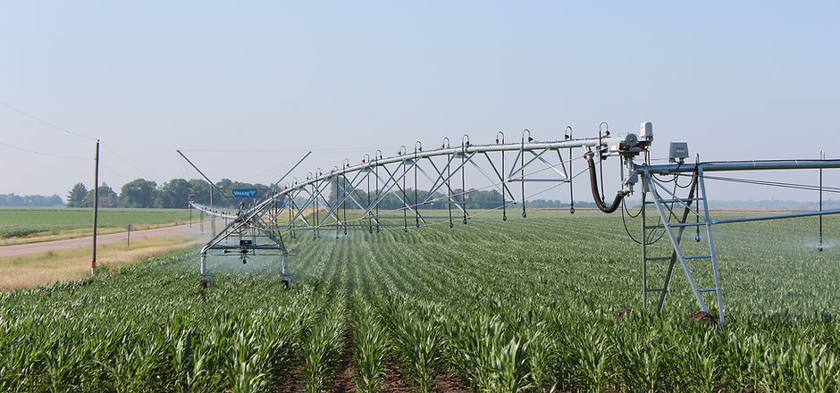 VFlex_Corn_July2013_130.JPG