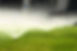 Reticulation-Servicing.jpg