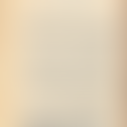 Reparations As Fraud