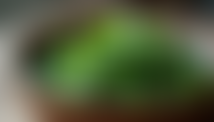 Top Anti-inflammatory Foods for a Healthier Lymphatic System