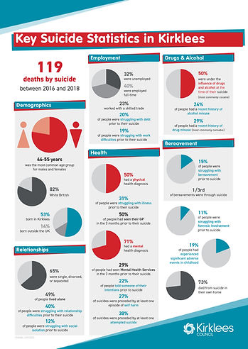 CM3486-1_infographic - suicide action plan 2020 copy.jpg