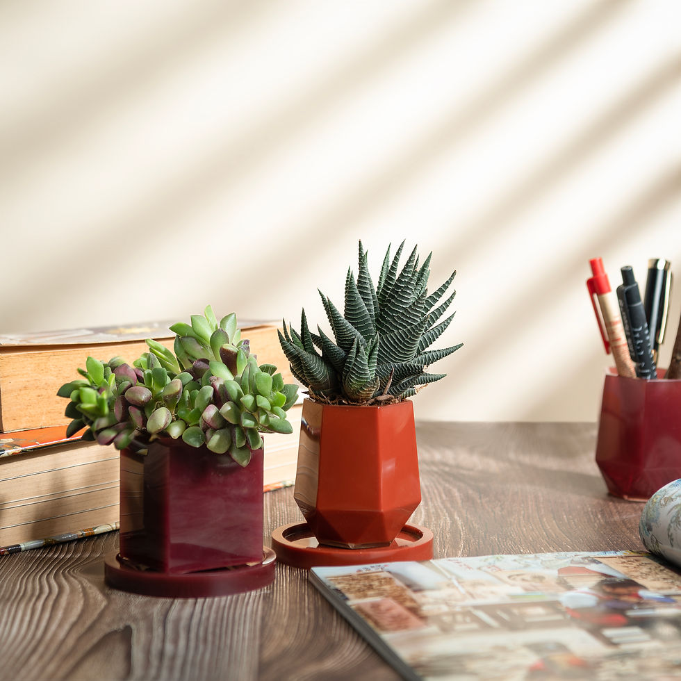 Resin multi-use stand